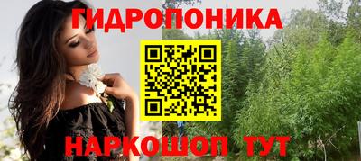 гидропоника Берёзовский