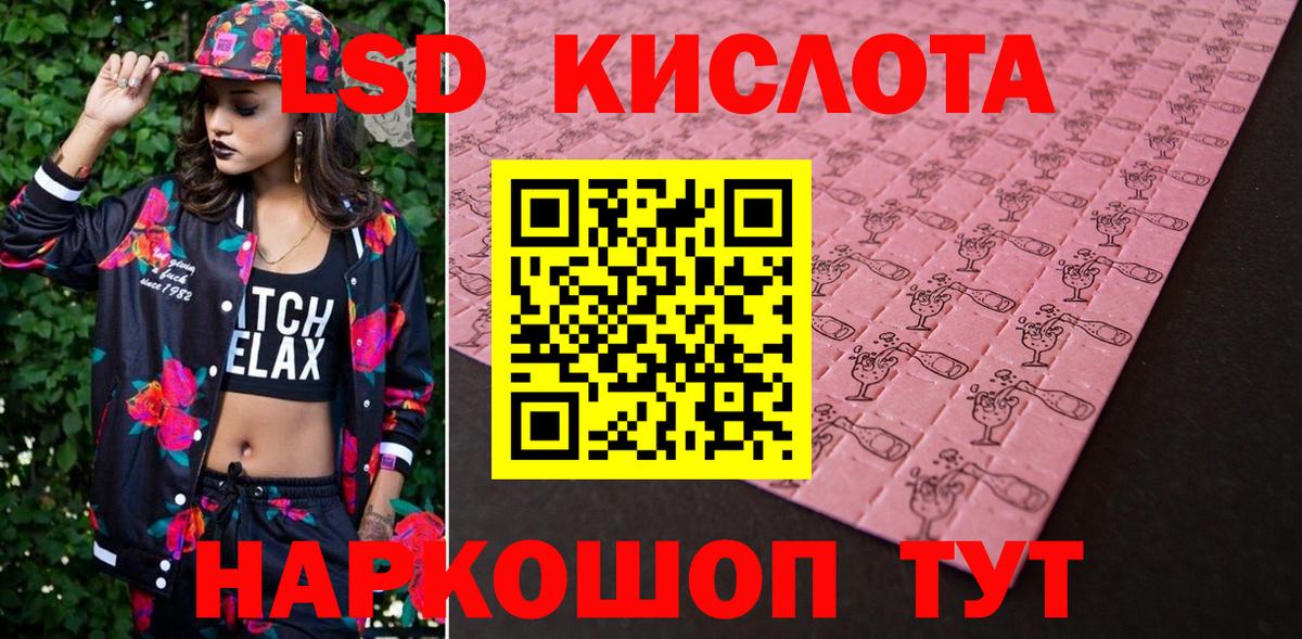 Галлюциногенные грибы Губкин